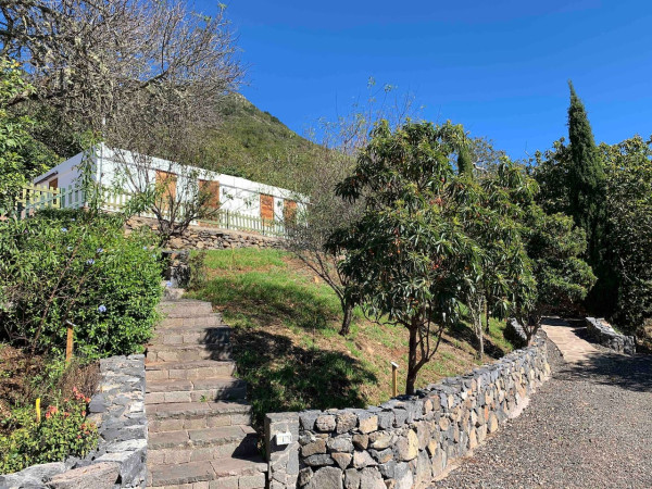 Finca El Roque – Laurisilva