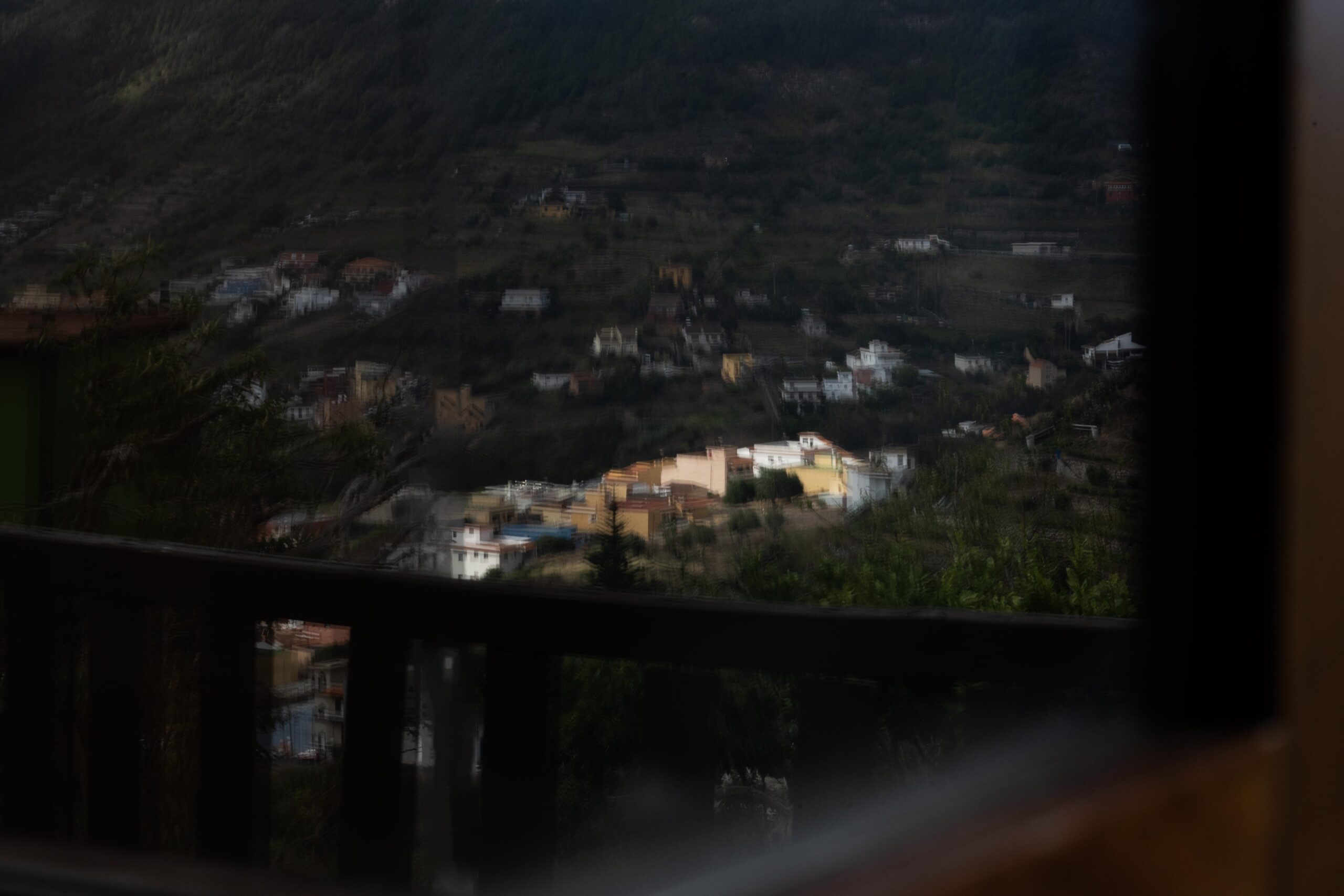 LAURISILVA_12 copia