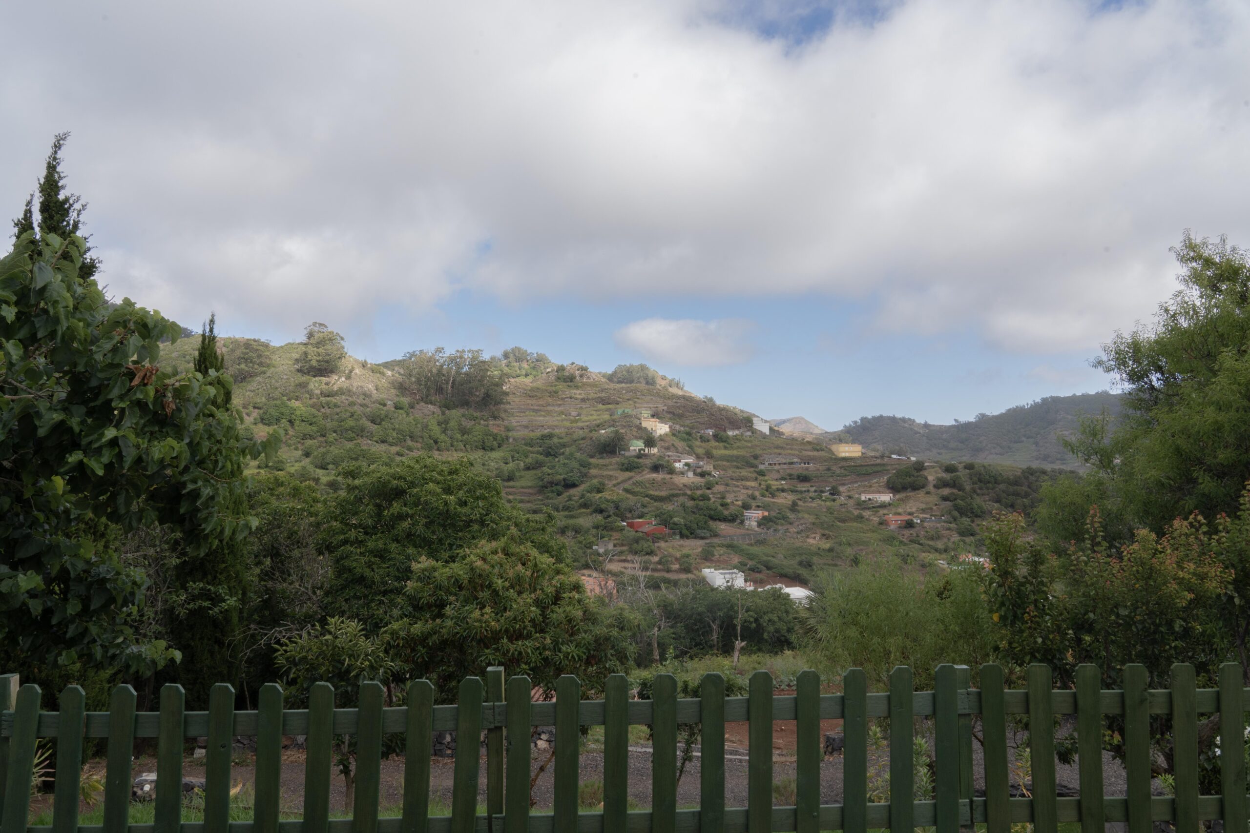 LAURISILVA_19 copia