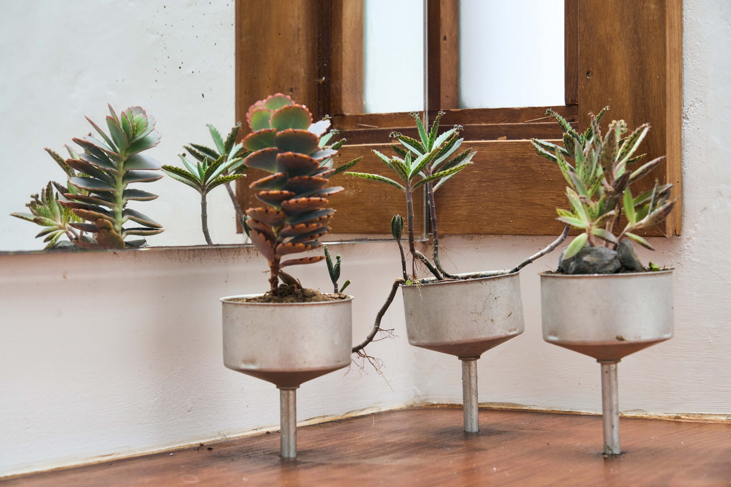 Villa Guincho_14 copia