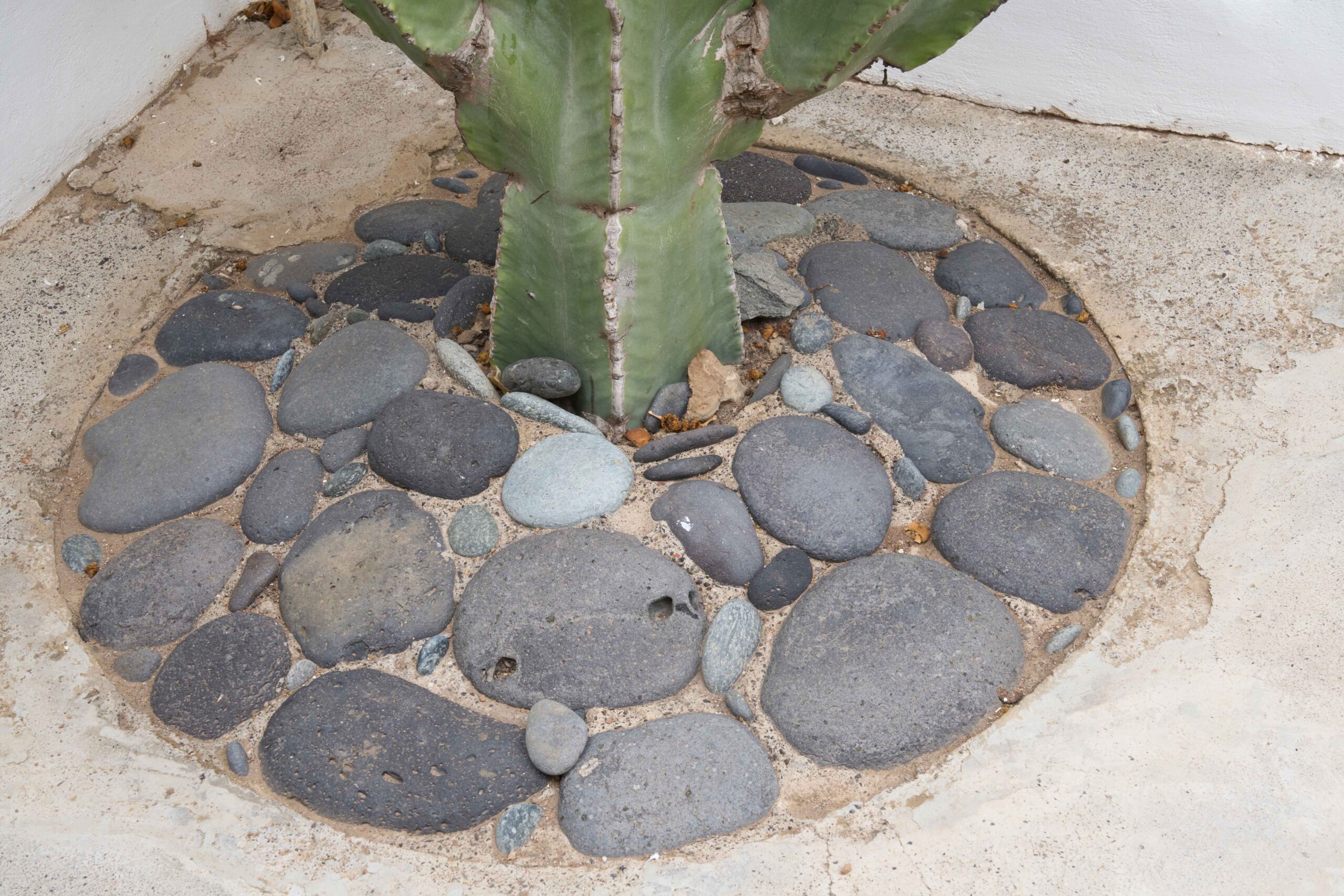 Villa Pardela_01 copia