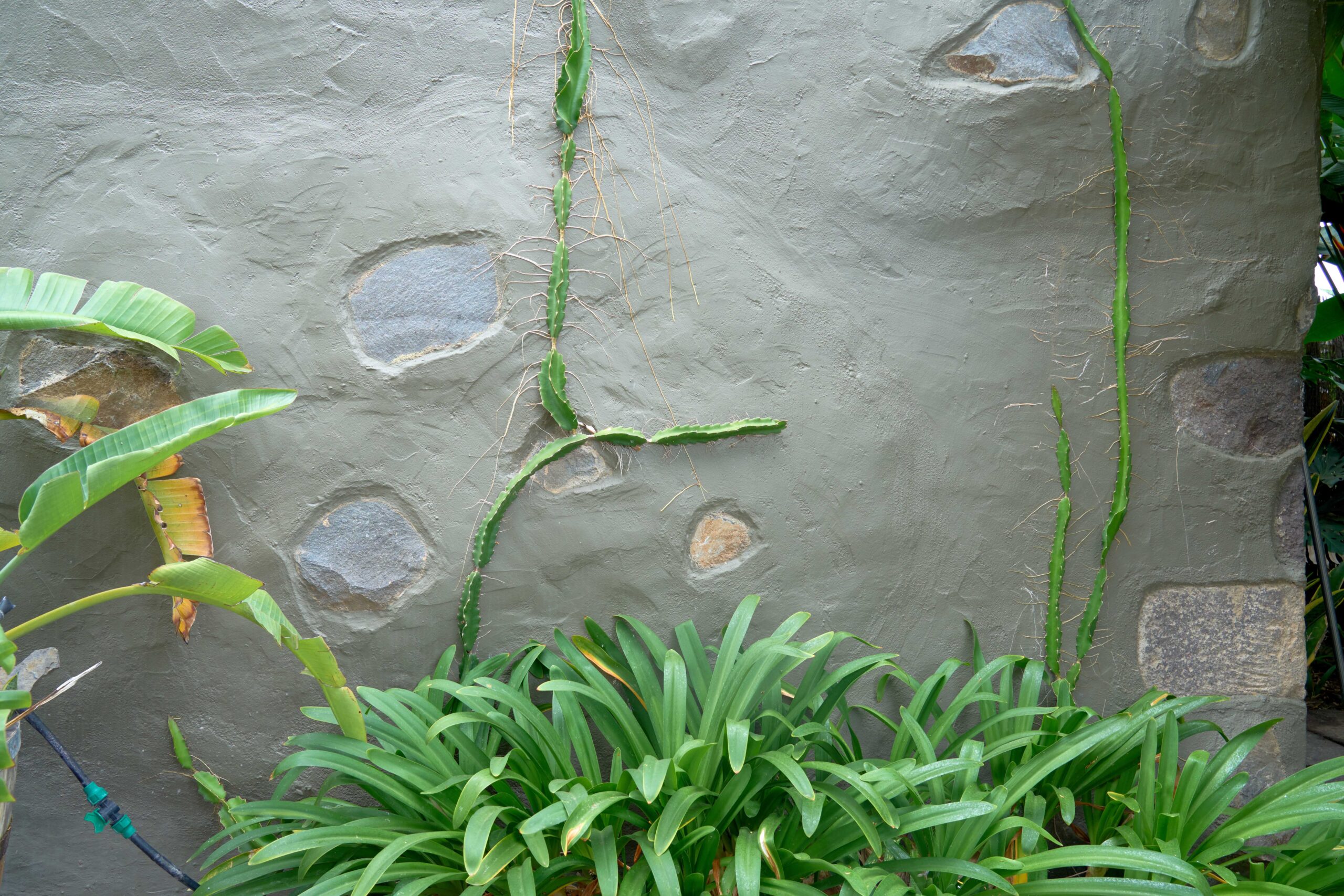 Villa Pardela_25 copia